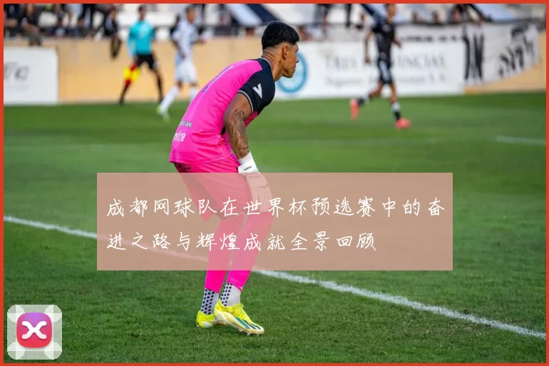 成都网球队在世界杯预选赛中的奋进之路与辉煌成就全景回顾