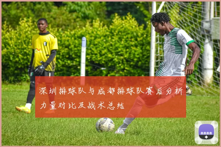 深圳排球队与成都排球队赛后分析力量对比及战术总结