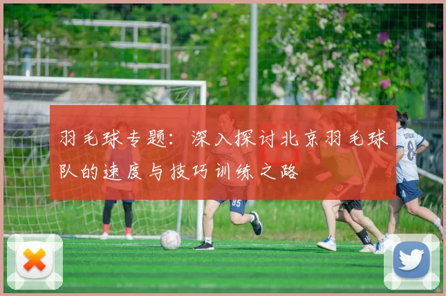 羽毛球专题：深入探讨北京羽毛球队的速度与技巧训练之路