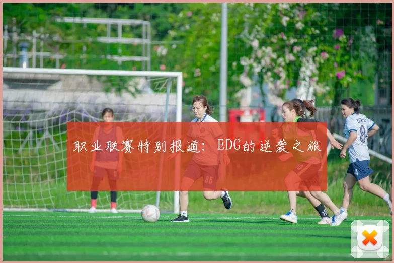 职业联赛特别报道：EDG的逆袭之旅