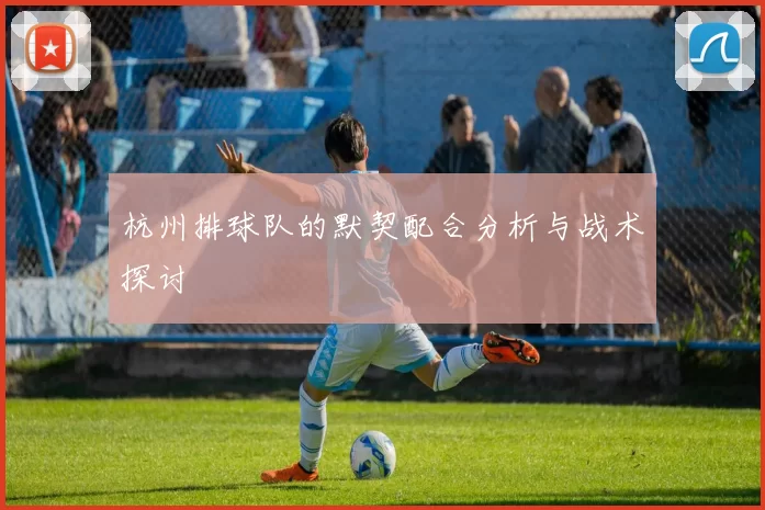 杭州排球队的默契配合分析与战术探讨
