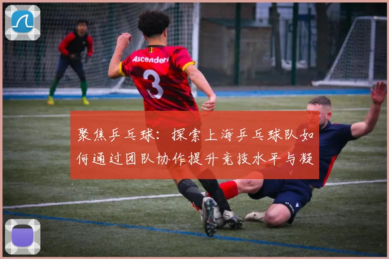 聚焦乒乓球：探索上海乒乓球队如何通过团队协作提升竞技水平与凝聚力