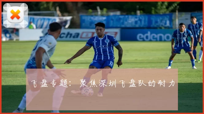 飞盘专题：聚焦深圳飞盘队的耐力