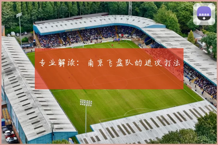 专业解读：南京飞盘队的进攻打法